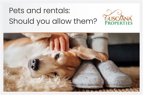 renters that allow pets.